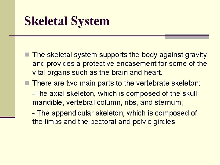 Skeletal System n The skeletal system supports the body against gravity and provides a