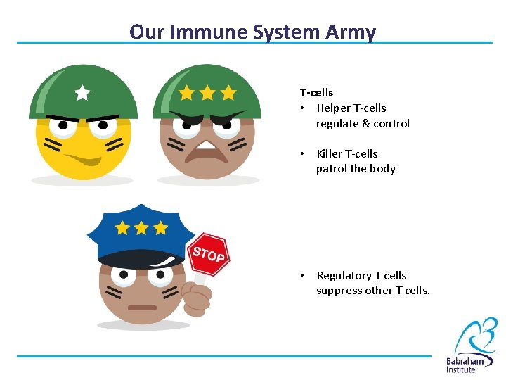 Our Immune System Army T-cells • Helper T-cells regulate & control • Killer T-cells