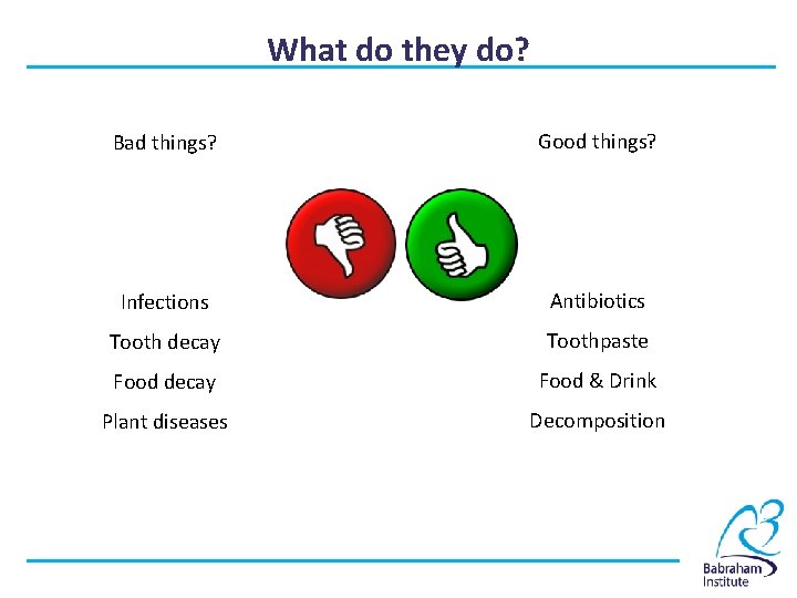 What do they do? Bad things? Good things? Infections Antibiotics Tooth decay Toothpaste Food