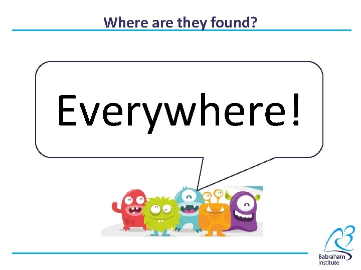 Where are they found? Everywhere! 