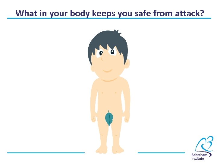 What in your body keeps you safe from attack? 