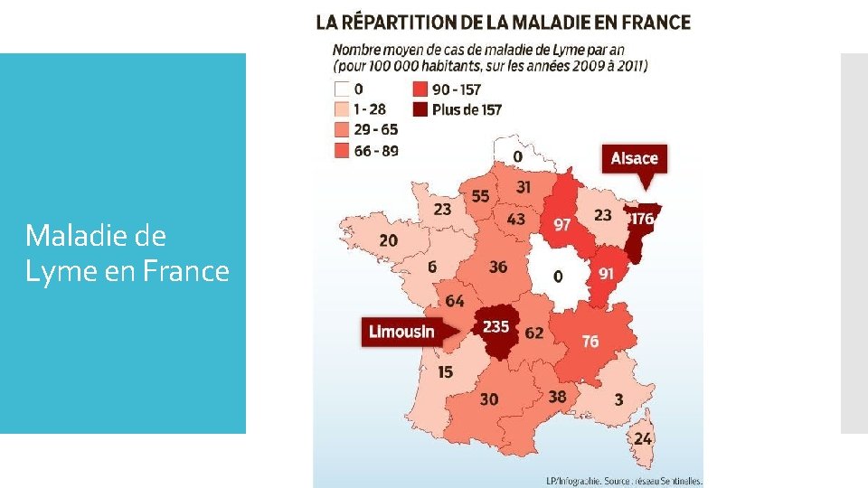 Maladie de Lyme en France 