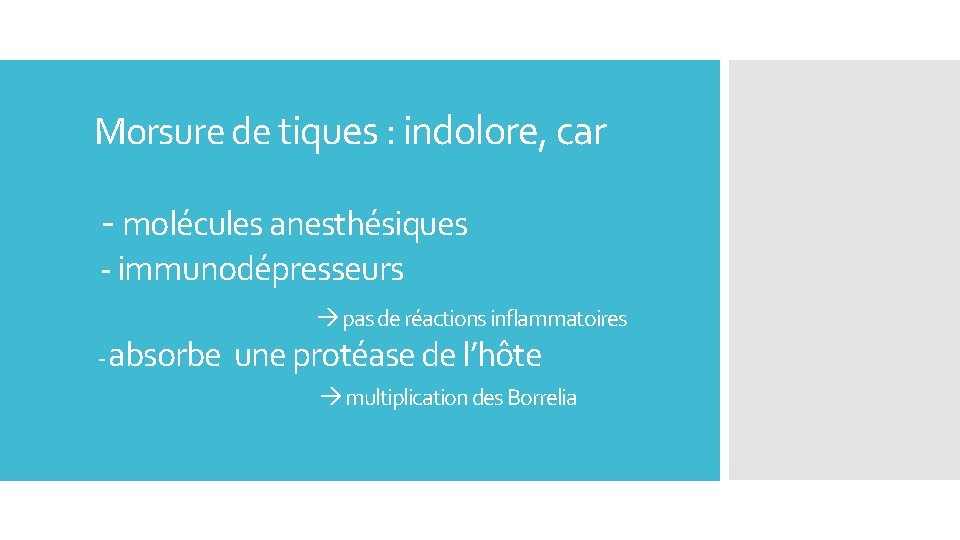 Morsure de tiques : indolore, car - molécules anesthésiques - immunodépresseurs - absorbe pas