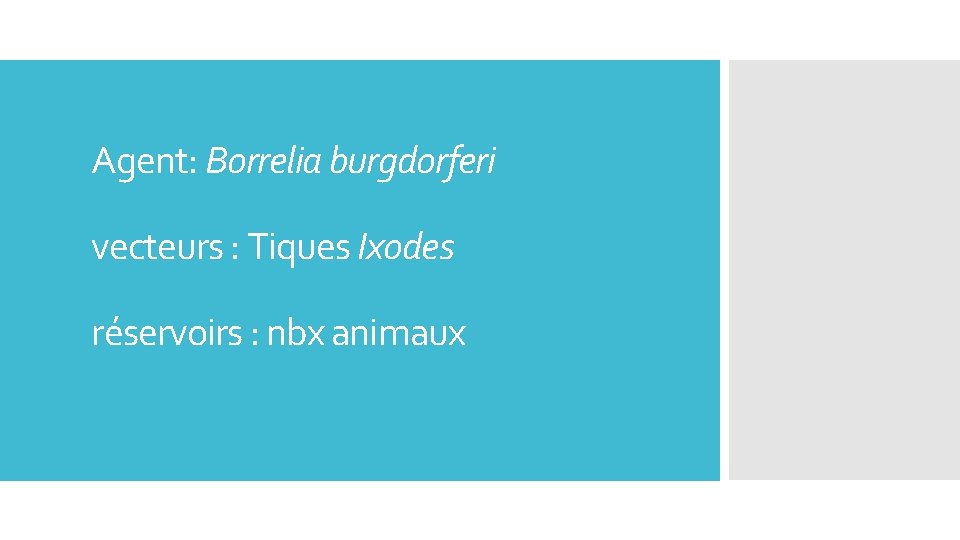 : Agent: Borrelia burgdorferi vecteurs : Tiques Ixodes réservoirs : nbx animaux 