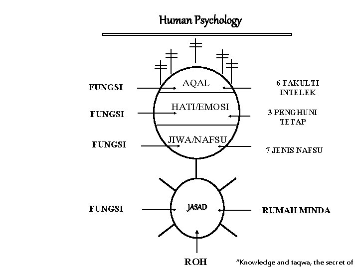 Human Psychology FUNGSI AQAL HATI/EMOSI 6 FAKULTI INTELEK 3 PENGHUNI TETAP JIWA/NAFSU 7 JENIS Human Psychology FUNGSI AQAL HATI/EMOSI 6 FAKULTI INTELEK 3 PENGHUNI TETAP JIWA/NAFSU 7 JENIS
