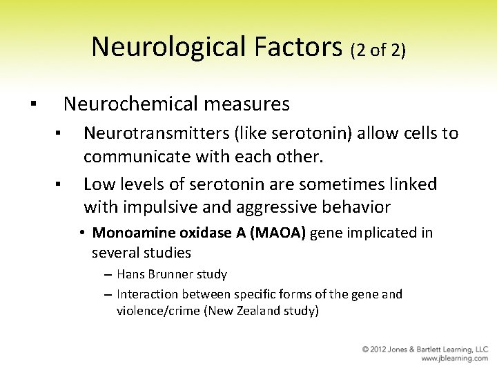 Neurological Factors (2 of 2) ▪ Neurochemical measures ▪ ▪ Neurotransmitters (like serotonin) allow