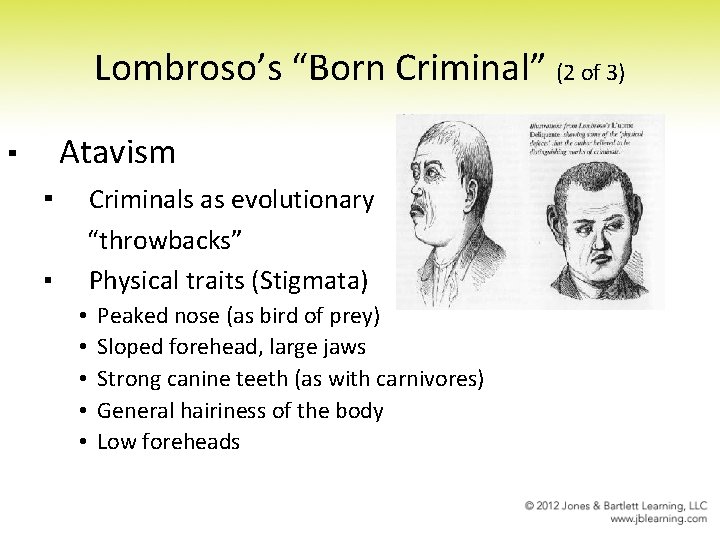Lombroso’s “Born Criminal” (2 of 3) Atavism ▪ ▪ ▪ Criminals as evolutionary “throwbacks”
