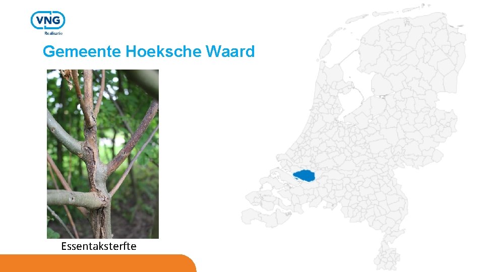 Gemeente Hoeksche Waard Essentaksterfte 