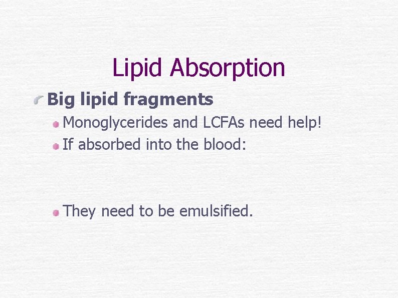 Lipid Absorption Big lipid fragments Monoglycerides and LCFAs need help! If absorbed into the