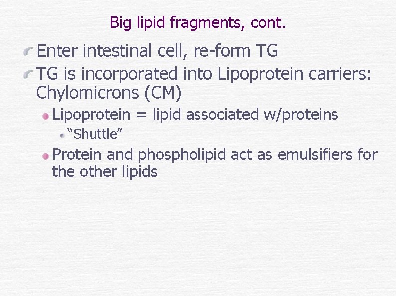 Big lipid fragments, cont. Enter intestinal cell, re-form TG TG is incorporated into Lipoprotein