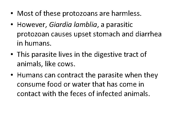  • Most of these protozoans are harmless. • However, Giardia lamblia, a parasitic