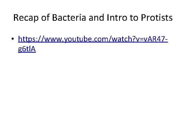 Recap of Bacteria and Intro to Protists • https: //www. youtube. com/watch? v=v. AR