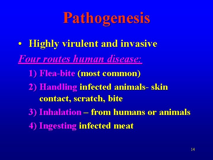 Pathogenesis • Highly virulent and invasive Four routes human disease: 1) Flea-bite (most common)