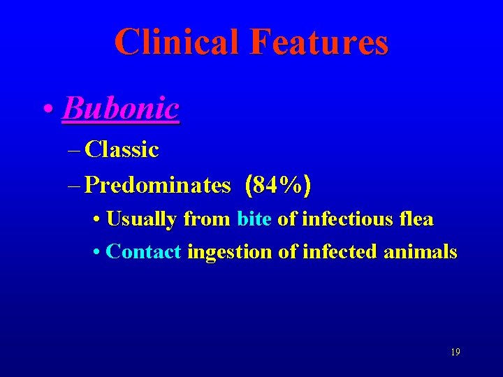 Clinical Features • Bubonic – Classic – Predominates (84%) • Usually from bite of