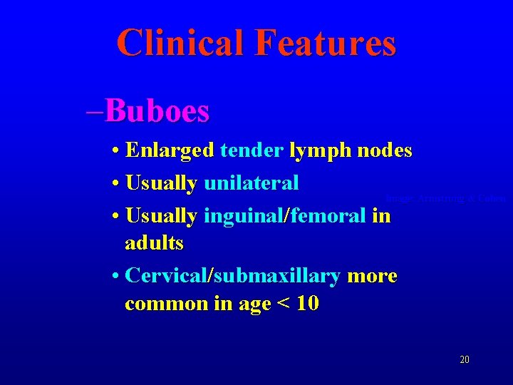 Clinical Features –Buboes • Enlarged tender lymph nodes • Usually unilateral Image: Armstrong &