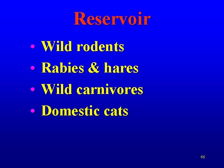 Reservoir • • Wild rodents Rabies & hares Wild carnivores Domestic cats 46 