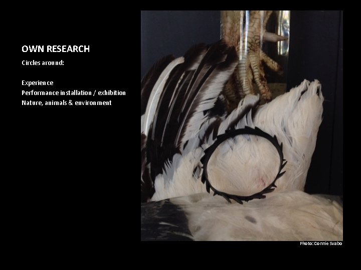 OWN RESEARCH Circles around: Experience Performance installation / exhibition Nature, animals & environment Photo: