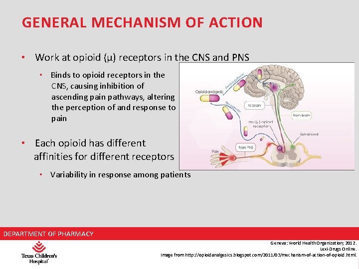 GENERAL MECHANISM OF ACTION • Work at opioid (µ) receptors in the CNS and