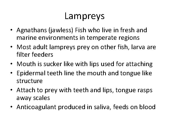 Lampreys • Agnathans (jawless) Fish who live in fresh and marine environments in temperate