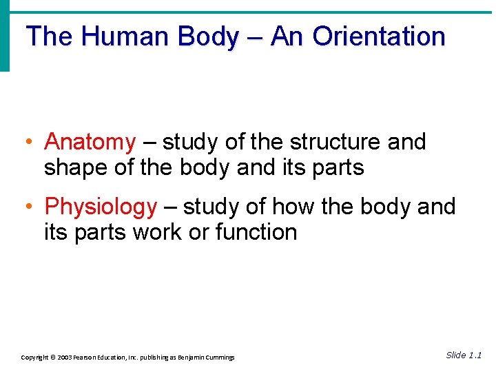 The Human Body – An Orientation • Anatomy – study of the structure and