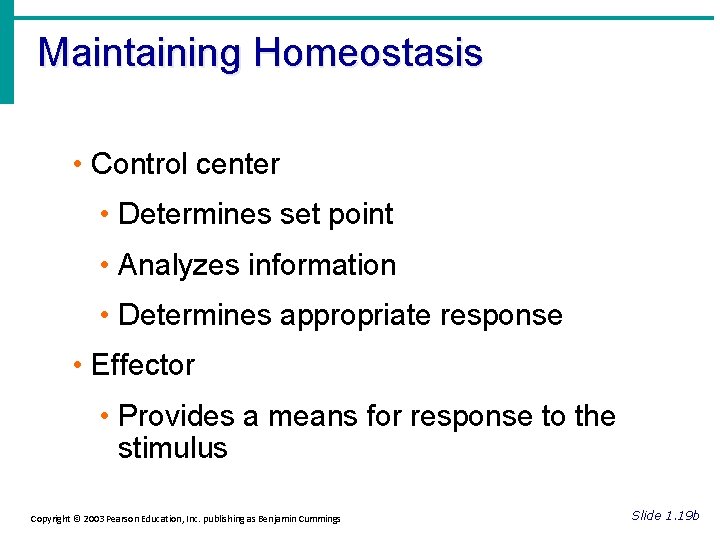 Maintaining Homeostasis • Control center • Determines set point • Analyzes information • Determines