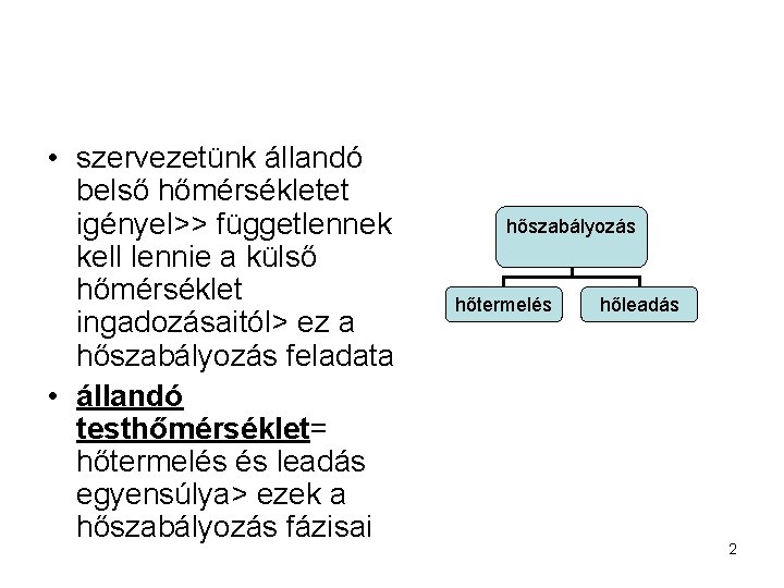  • szervezetünk állandó belső hőmérsékletet igényel>> függetlennek kell lennie a külső hőmérséklet ingadozásaitól>