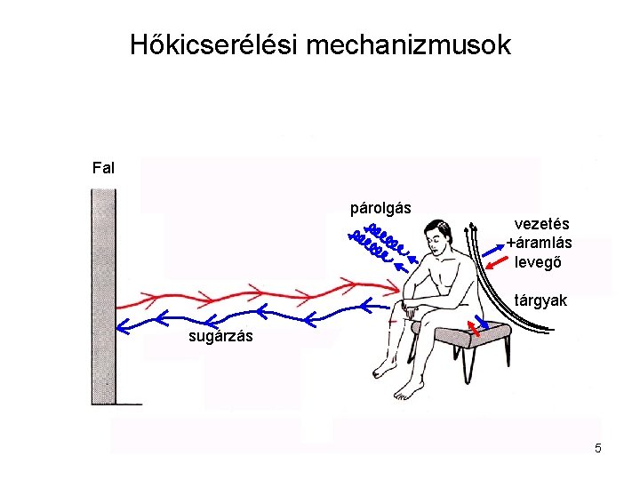 Hőkicserélési mechanizmusok Fal párolgás vezetés +áramlás levegő tárgyak sugárzás 5 