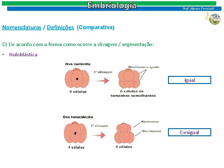 Embriologia Prof: Marcus Ferrassoli Nomenclaturas / Definições (Comparativa) D) De acordo com a forma