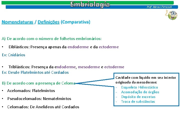 Embriologia Prof: Marcus Ferrassoli Nomenclaturas / Definições (Comparativa) A) De acordo com o número