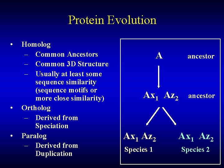Protein Evolution • • • Homolog – Common Ancestors – Common 3 D Structure