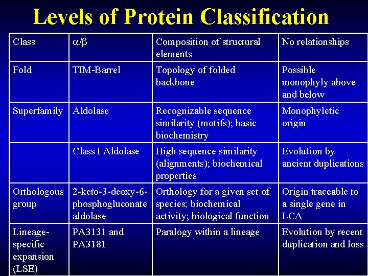 Levels of Protein Classification Class / Composition of structural elements No relationships Fold TIM-Barrel