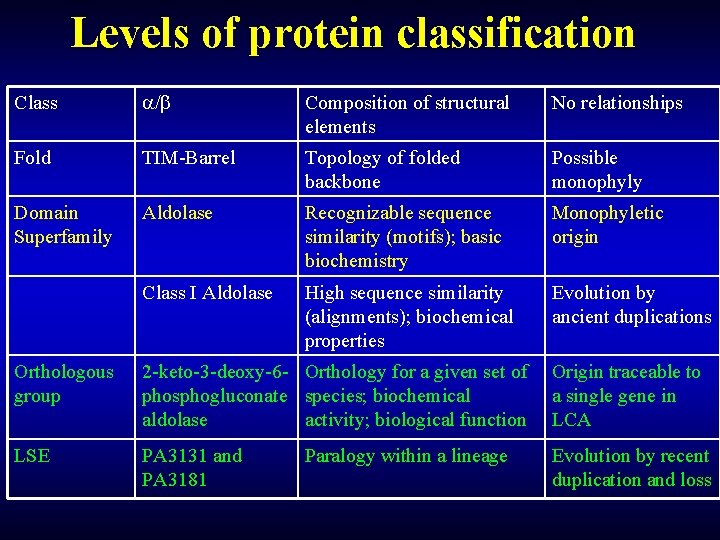 Levels of protein classification Class / Composition of structural elements No relationships Fold TIM-Barrel