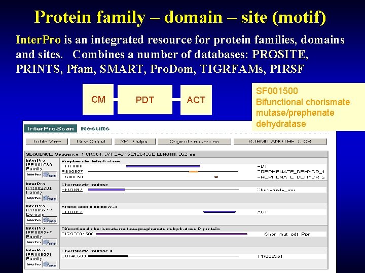 Protein family – domain – site (motif) Inter. Pro is an integrated resource for