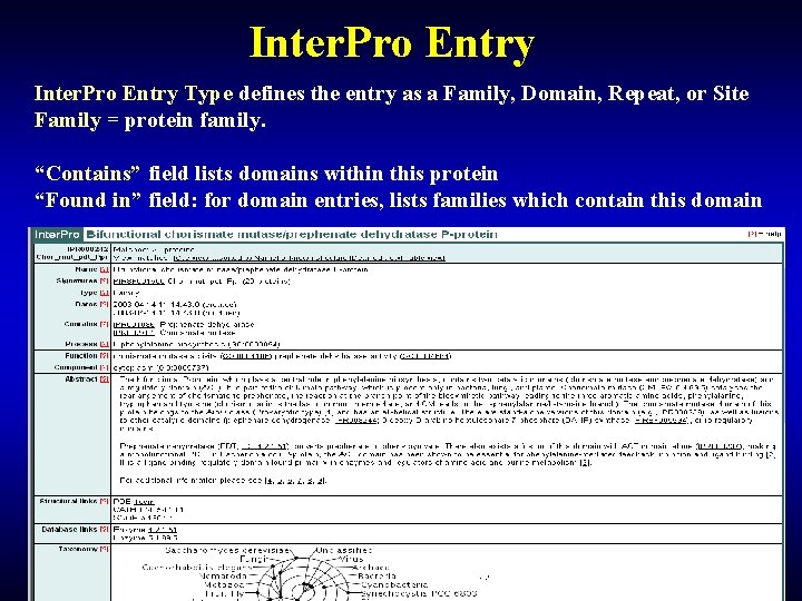 Inter. Pro Entry Type defines the entry as a Family, Domain, Repeat, or Site