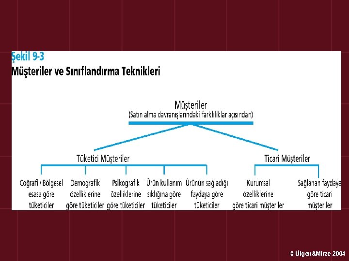 © Ülgen&Mirze 2004 