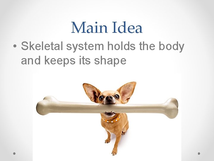 Main Idea • Skeletal system holds the body and keeps its shape 