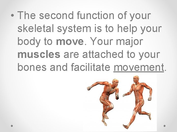  • The second function of your skeletal system is to help your body