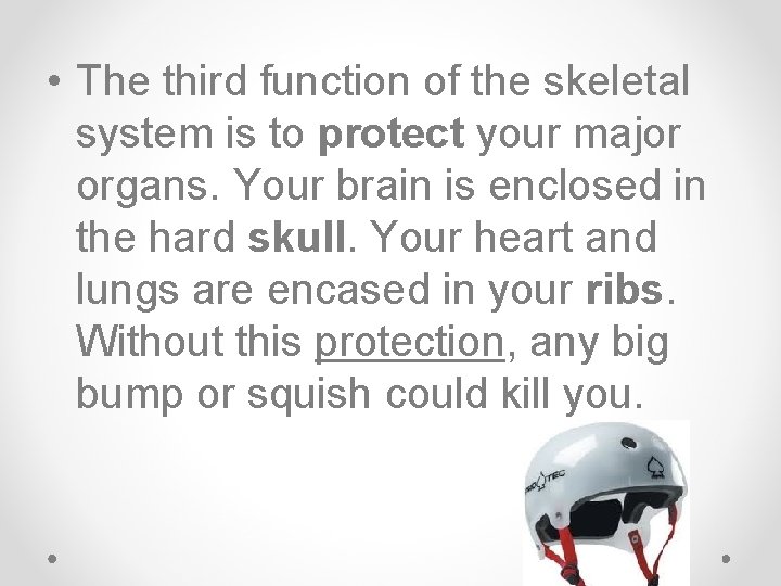  • The third function of the skeletal system is to protect your major