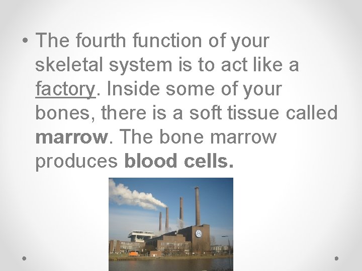  • The fourth function of your skeletal system is to act like a