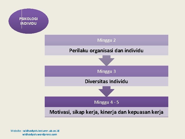 PSIKOLOGI INDIVIDU Minggu 2 Perilaku organisasi dan individu Minggu 3 Diversitas Individu Minggu 4