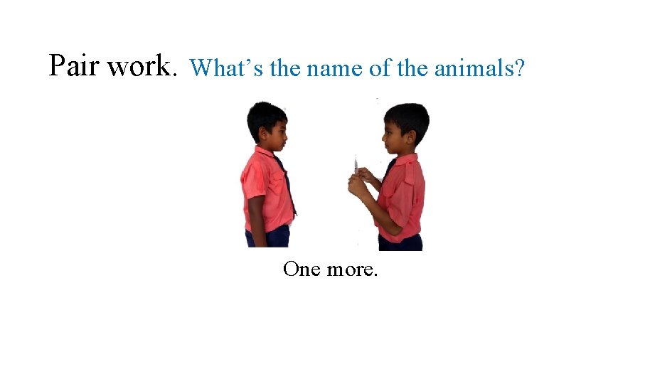 Pair work. What’s the name of the animals? One more. 