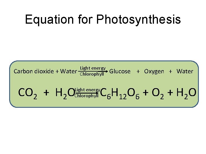 Equation for Photosynthesis Carbon dioxide + Water CO 2 + H 2 O Light