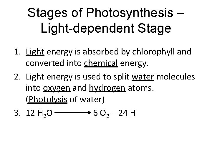 Stages of Photosynthesis – Light-dependent Stage 1. Light energy is absorbed by chlorophyll and