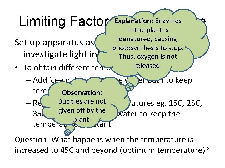 Enzymes Limiting Factors. Explanation: - in. Temperature the plant is denatured, causing Set up