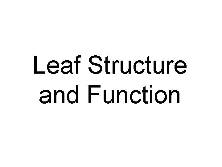 Leaf Structure and Function 