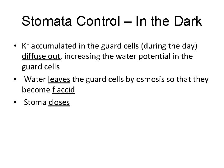 Stomata Control – In the Dark • K+ accumulated in the guard cells (during