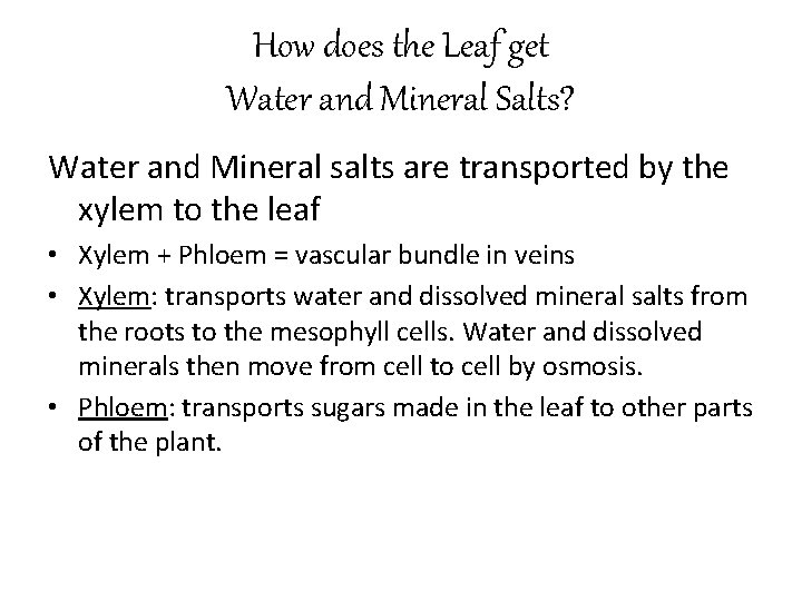 How does the Leaf get Water and Mineral Salts? Water and Mineral salts are