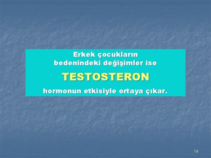 Erkek çocukların bedenindeki değişimler ise TESTOSTERON hormonun etkisiyle ortaya çıkar. 14 