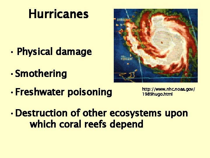 Hurricanes • Physical damage • Smothering • Freshwater poisoning http: //www. nhc. noaa. gov/