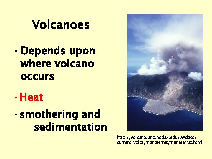 Volcanoes • Depends upon where volcano occurs • Heat • smothering and sedimentation http: